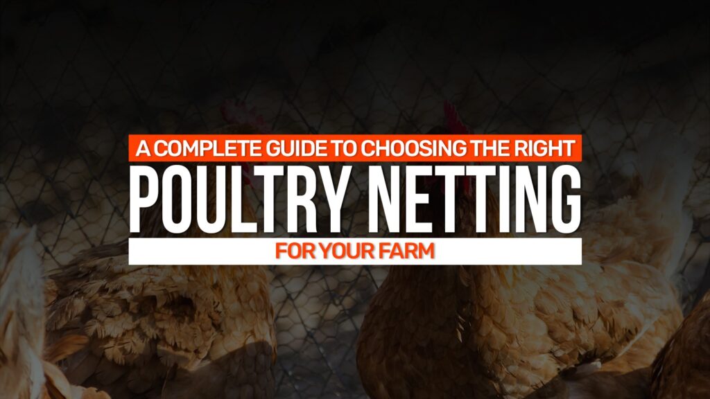 Choosing The Right Poultry Netting For Your Farm